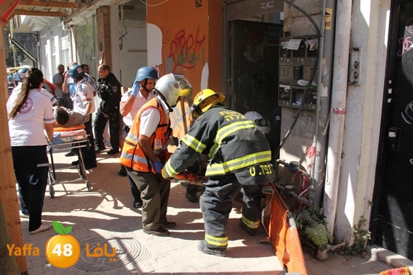 mabna inu910y (13).JPG